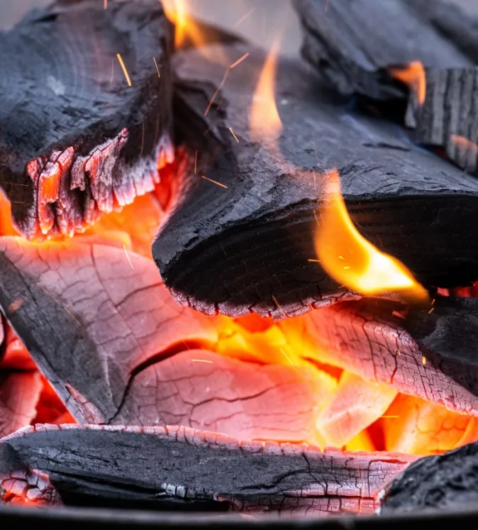 Gamme d'Inserts Vision Neo de Flameboxe : élégance et performance