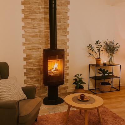 Installation d’un Jotul F363 sur pied surélevé dans une maison à Argences