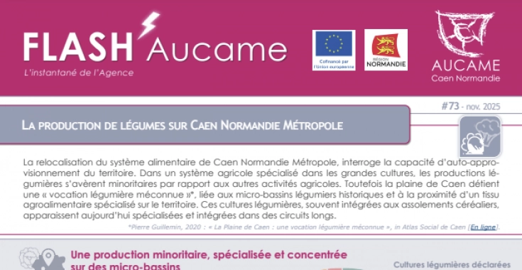 Flash' #73 : La production de légumes sur Caen Normandie Métropole