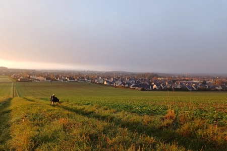 Observatoire de l'Habitat