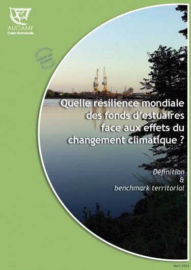 Quelle résilience mondiale  des fonds d’estuaires  face aux effets du  changement climatique ?