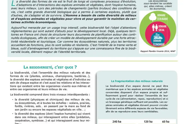 La biodiversité : un enjeu, La trame verte et bleue : un outil