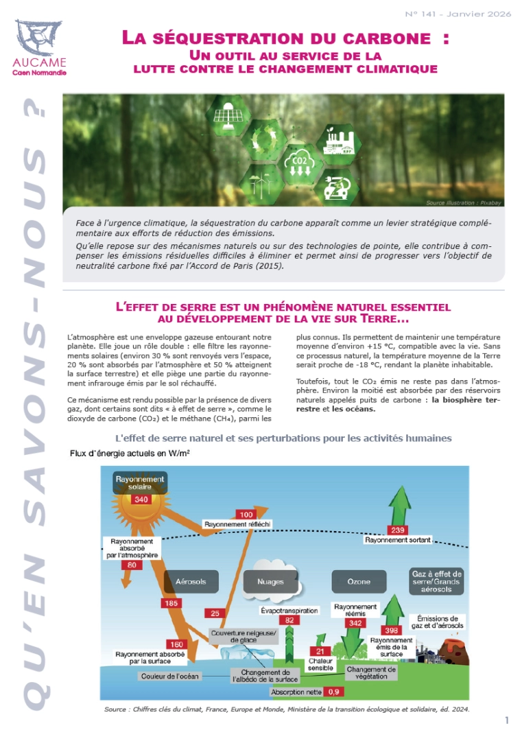 QSN #141 - La séquestration du carbone : un outil au service de la lutte contre le changement climatique