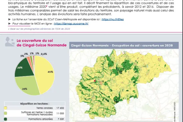 Flash' # 29 - MOS Cingal-Suisse Normande