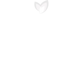 Logo Maisons d’Intérieur